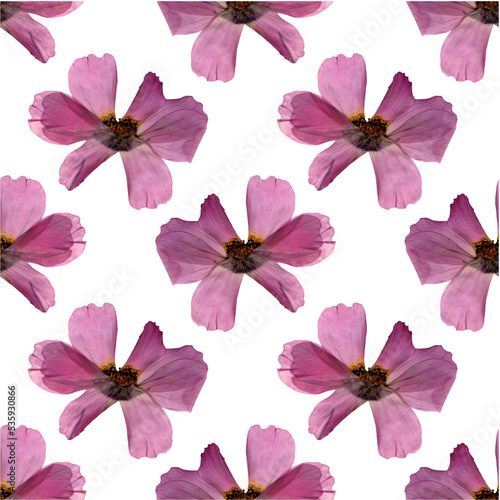 Herbarium pink flower pattern. Agriculture, eco friendly, organic farm. It's perfect for postcards, posters, banners, invitations, greeting cards, prints. Isolated on white background.