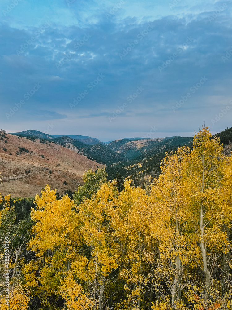 Fall foliage in the Colorado Rocky Mountains