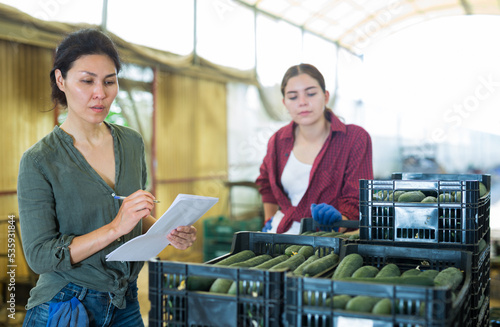 Woman manager controls the number of boxes of cucumbers on the farm photo