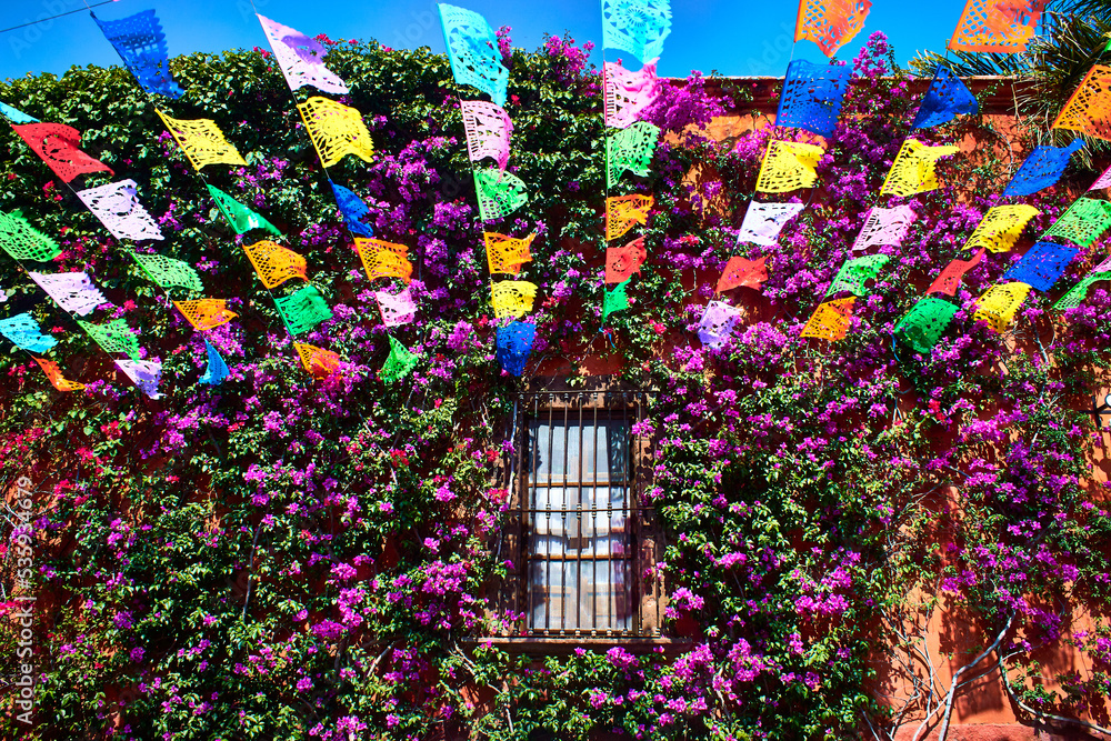 Naklejka premium ornaments on the streets with purpple flowers in the wall of house, traditional celebration in san miguel de allende guanajuato 