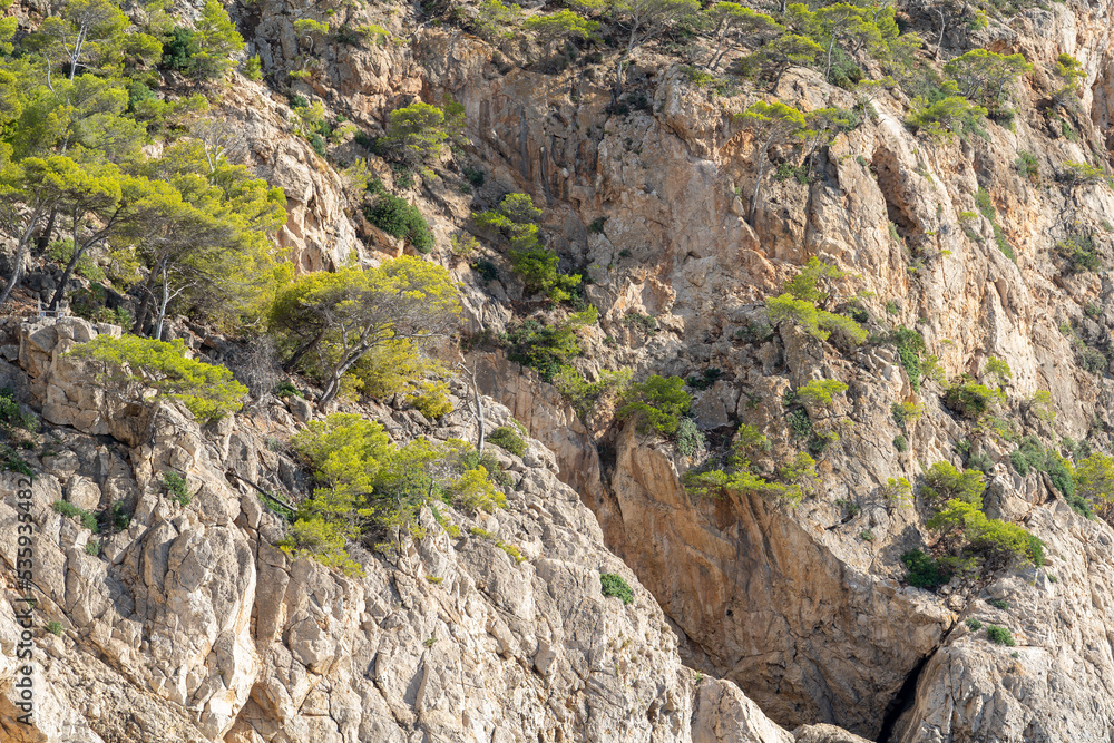 Felsen auf Mallorca | Cala Marmacen | Andratx | Spanien
