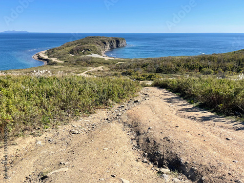 Vladivostok, Cape Vyatlina on Russian Island in autumn on a sunny day photo