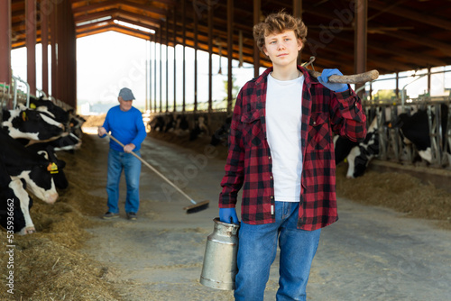 Young farmer diligently cleans the barn and feeds the cows with hay