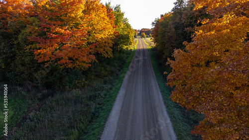 Fall Colours © NZP Chasers