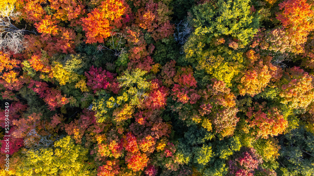 Fall Colours Fall Colours