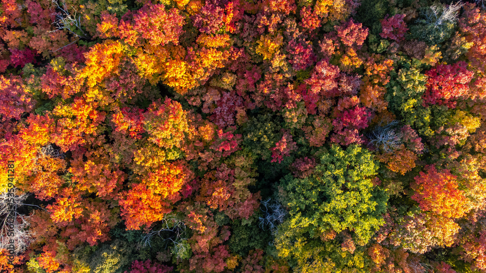 Fall Colours Fall Colours