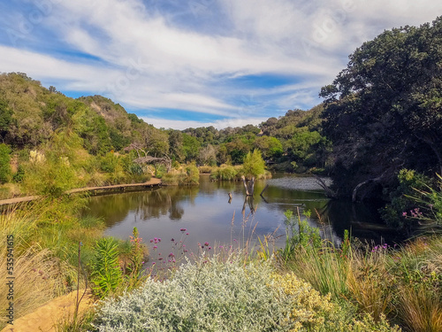 lake in the forest