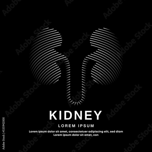 Human kidney medical structure. Vector logo kidney color silhouette on a dark background. EPS 10