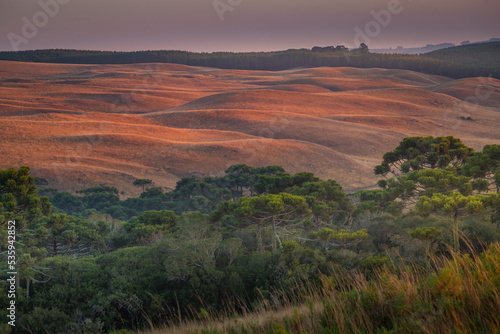 Southern Brazil countryside and meadows landscape at peaceful sunrise