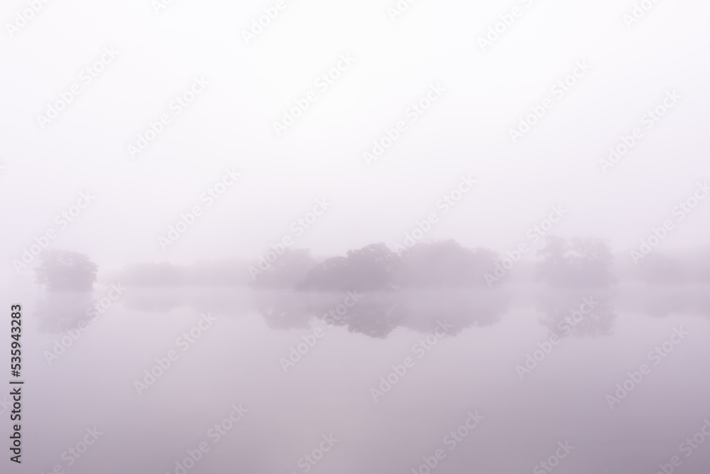 Line of trees in purple mist on lake