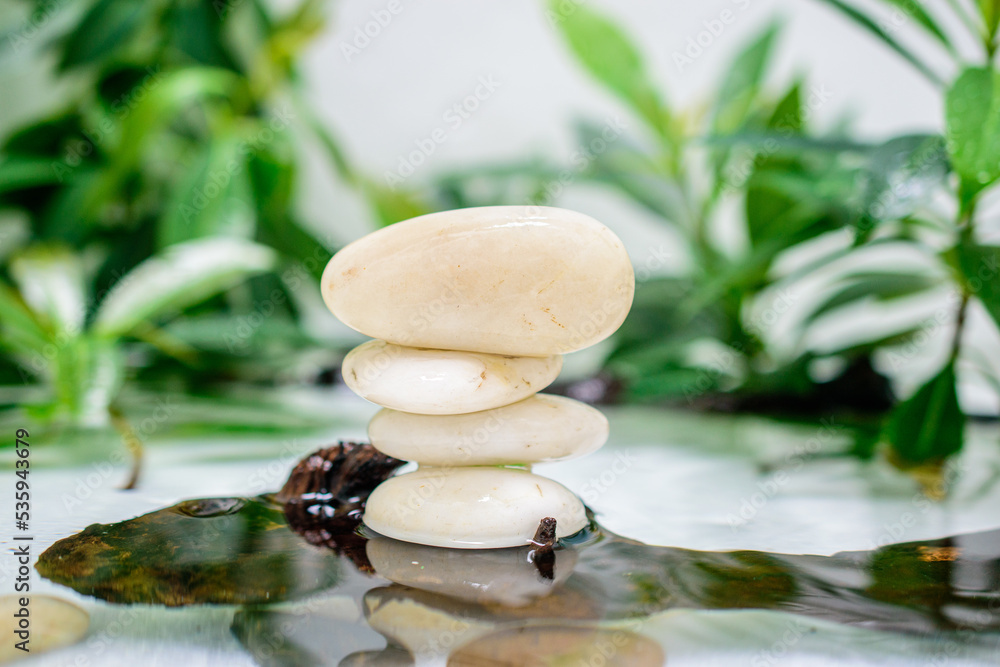 White Zen Stones In Water Nature Background Green Leaves Symbol Peace