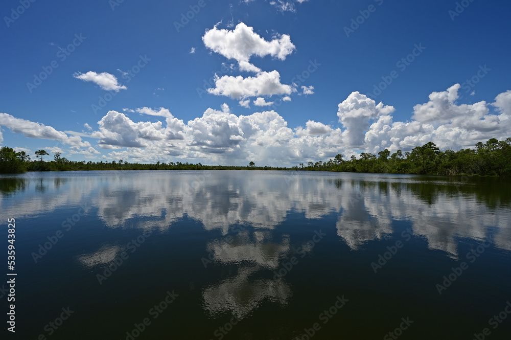 Bright summer cloudscape reflected in calm water of Pine Glades Lake in Everglades National Park, Florida on sunny summer day.