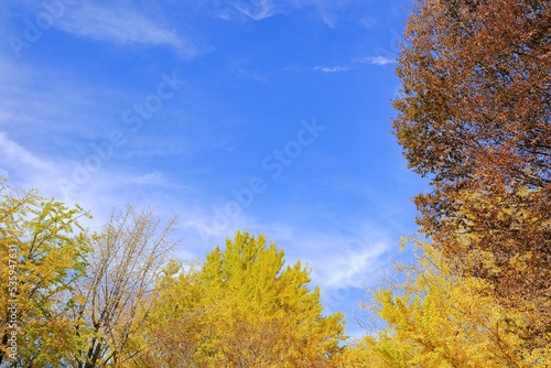 秋の空