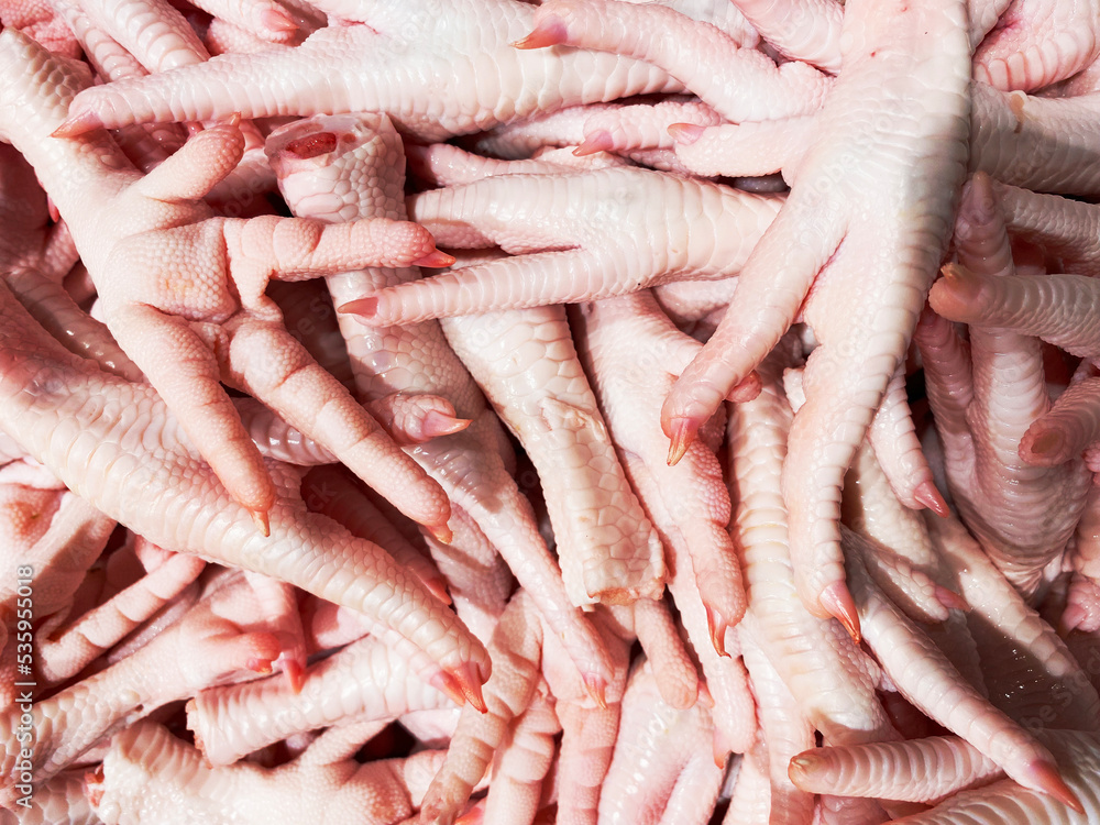 Raw chicken feet are fresh and are sold in the fresh market , Thailand Raw chicken feet are fresh and are sold in the fresh market , Thailand