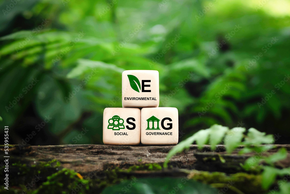 ESG concept of environmental, social and governance.words ESG on a woodblock on beautiful green background, It is an idea for sustainable organizational development. ​World environment day - obrazy, fototapety, plakaty 