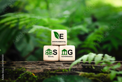 ESG concept of environmental, social and governance.words ESG on a woodblock on beautiful green background, It is an idea for sustainable organizational development. ​World environment day