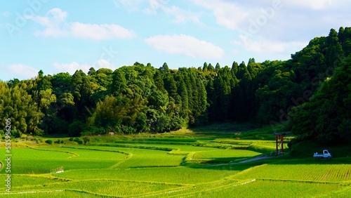 山のふもとにある田園風景（日本） © yuka