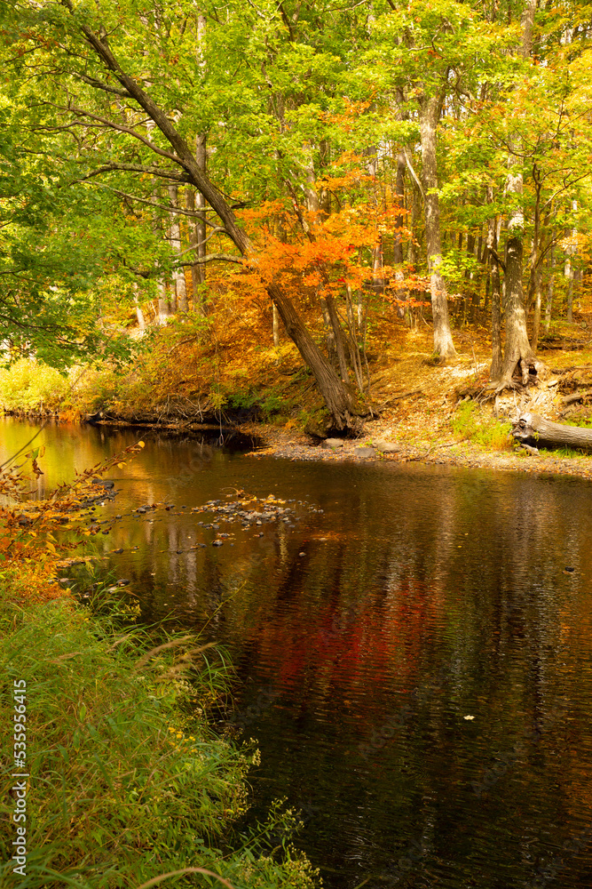 Reflections of the autumn woods in the Blackwater River.