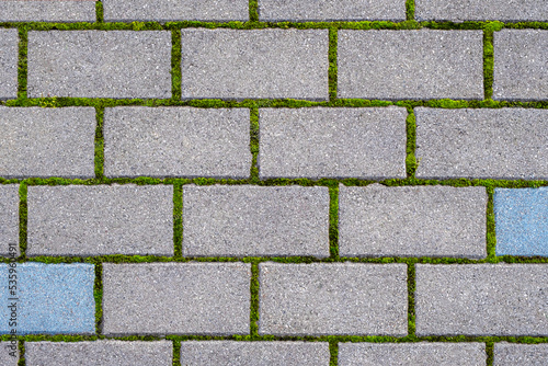 Cobblestone pavement Stone tile floor paving. Abstract background texture. Cobbles close-up with a green grass in the seams. Top view