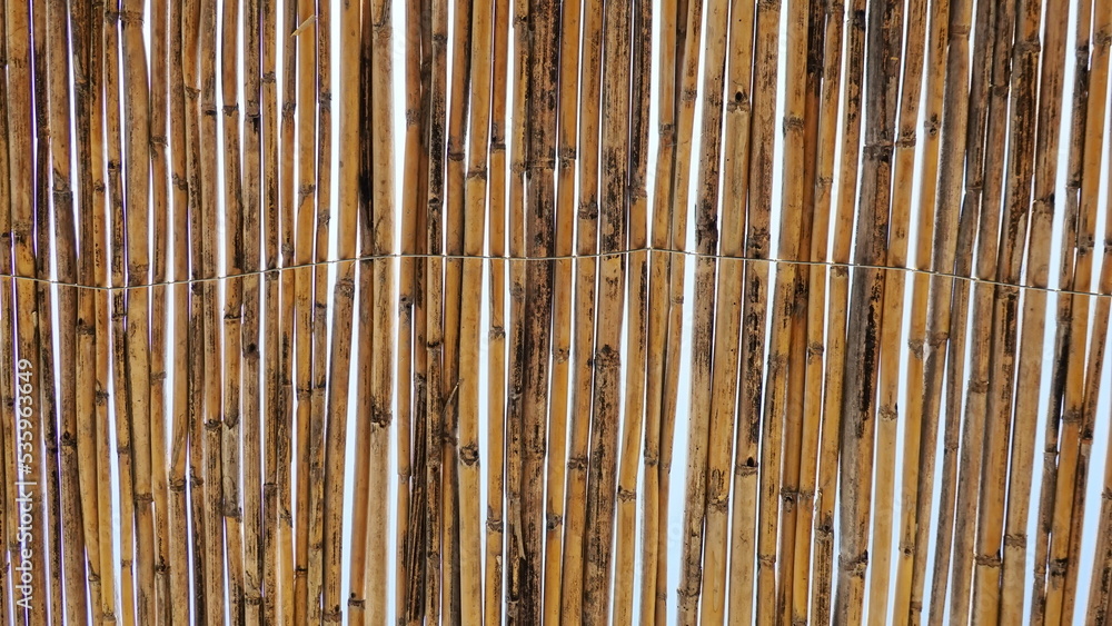 Bamboo Fence. Natural plant material. Wallpaper Bamboo Fence. Natural plant material. Wallpaper