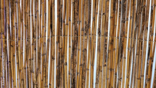 Bamboo Fence. Natural plant material. Wallpaper