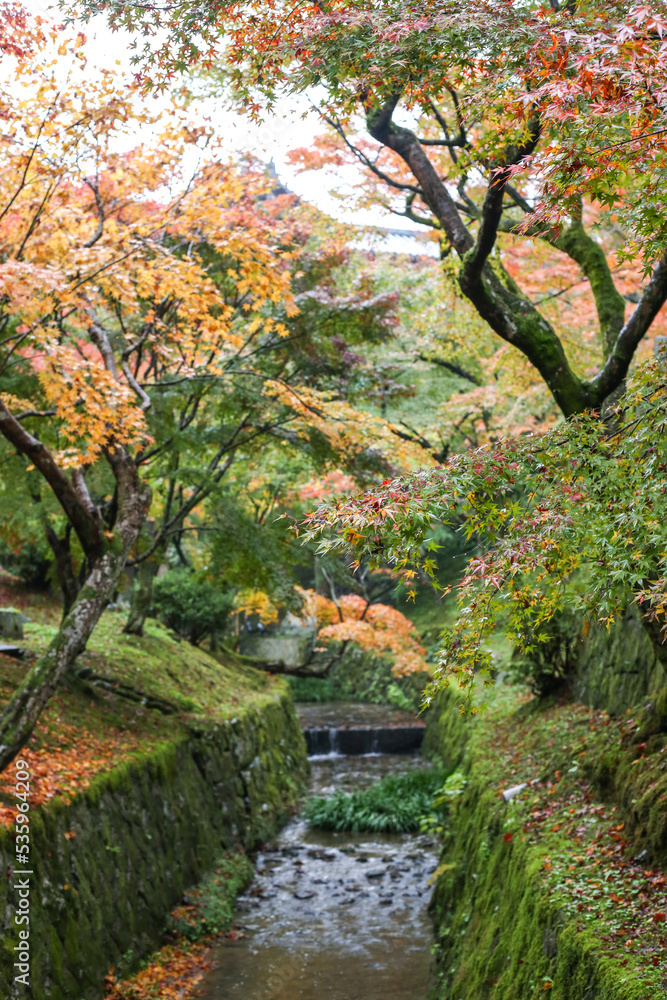 Naklejka premium japanese garden in autumn