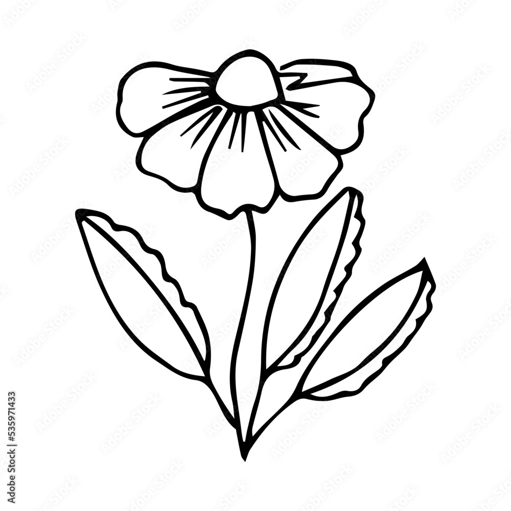 Obraz premium hand drawn botanical flower doodle element for floral design concept