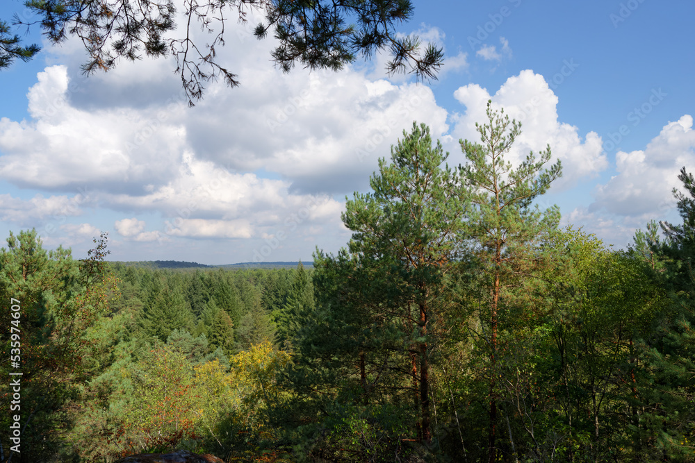 Point of view in the hills of the Etroitures rock in Fontainebleau forest