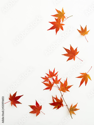 Autumnal composition with fall leaves on white background. Flat lay. Thanksgiving day concept.