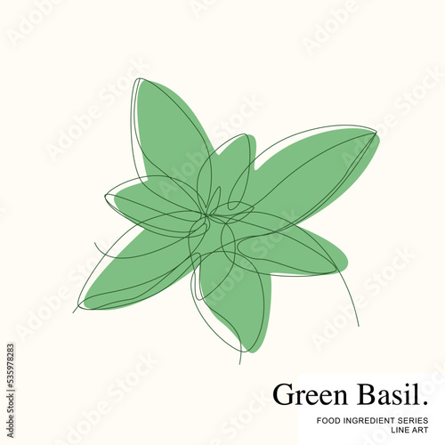 Fresh green basil herb leaves, Food Ingredient Cartoon Line Art Vector Template