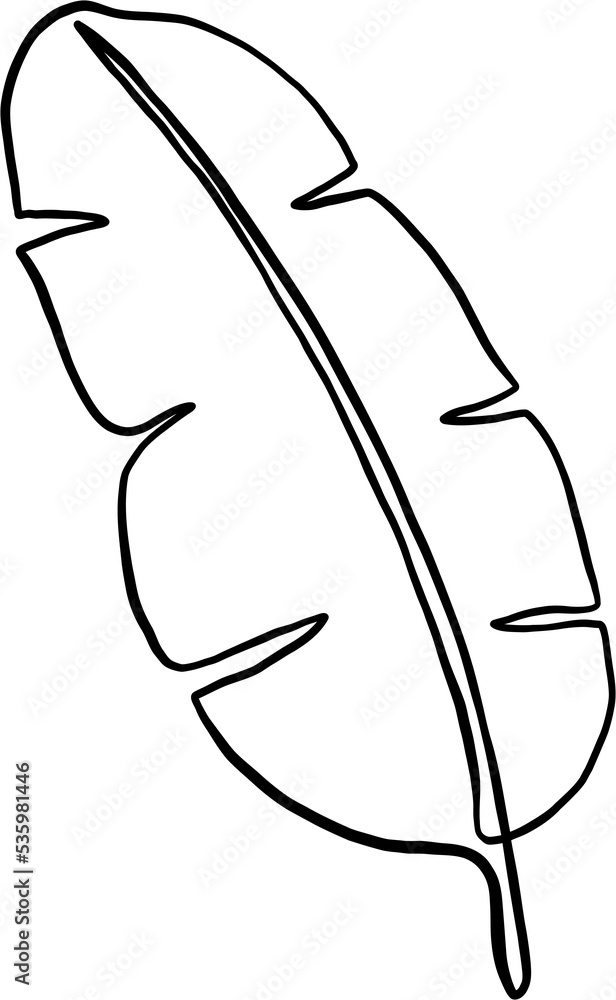 simplicity banana leaf freehand continuous drawing flat design.