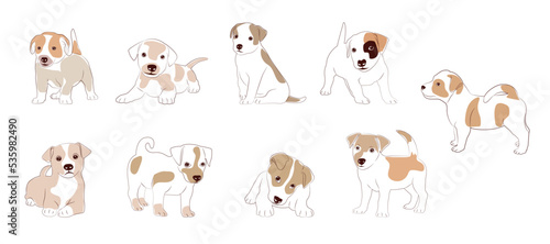 Fototapeta Naklejka Na Ścianę i Meble -  Vector illustration of dog breed set in flat style. Puppy dogs. Cute dog set. Vector illustration isolated on white background, cartoon funny dogs