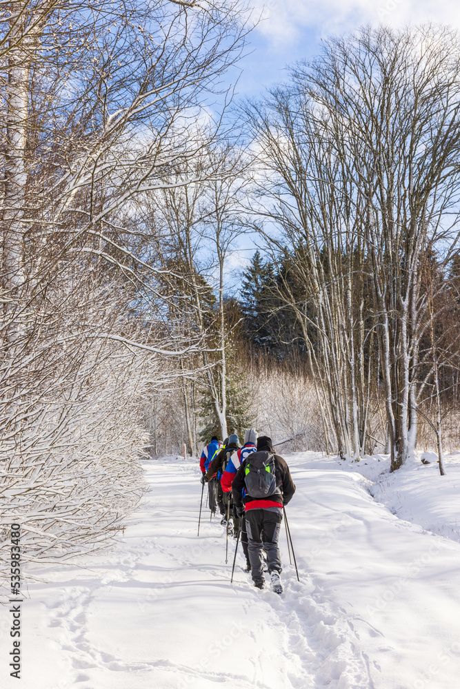 Group of hikers on a snowy forest path