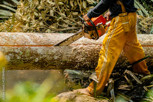 chainsaw cutting wood