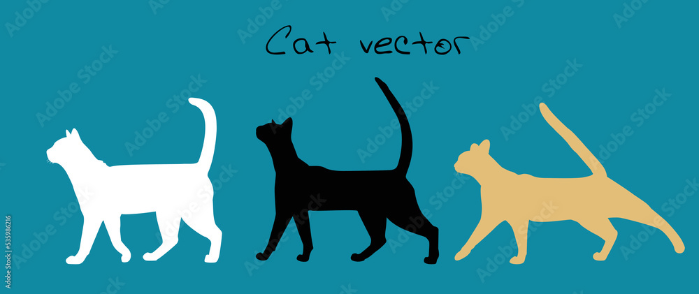 Cartoon cat. Cat behavior, body language and facial expressions in cute style. Different cartoon cats, simple, modern, geometric, flat style vector illustration.