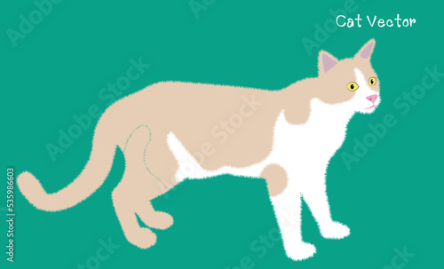 Vector Cat  flat icon. Cute gray and white cat cartoon. Cartoon vector illustration. on green background.