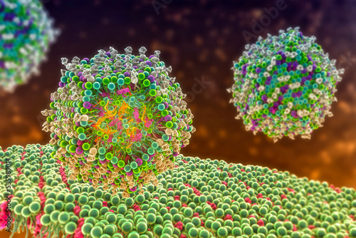 Lipid nanoparticle mRNA vaccine photo