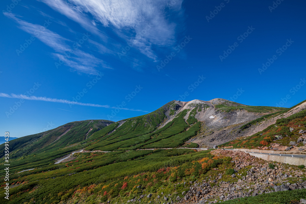 Fototapeta premium 乗鞍岳位ヶ原の紅葉