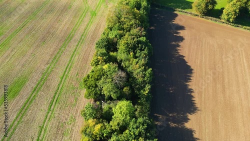 Drone shot of a lie of trees that hides an old abandoned railway that ran from Canterbury to Folkestone - referred to as the Elham line. photo