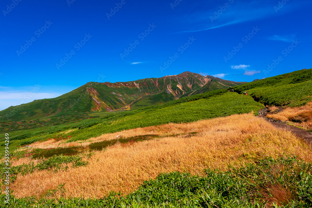 秋の北海道・大雪山の旭岳で見た、オレンジ色の紅葉や緑の植物と快晴の青空