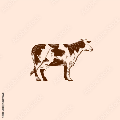 cross hactching hand drawing cow
