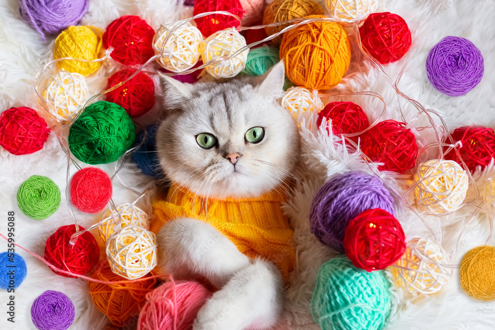 A cute white cat lies in a yellow knitted sweater, on a fluffy blanket with colorful balls of yarn.