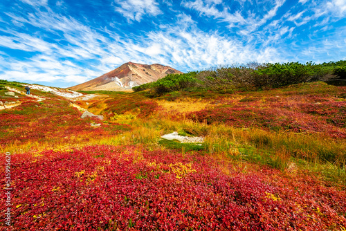 Obraz w ramie 秋の北海道・大雪山の旭岳で見た、赤や黄色のカラフルな紅葉と青空に浮かぶ雲