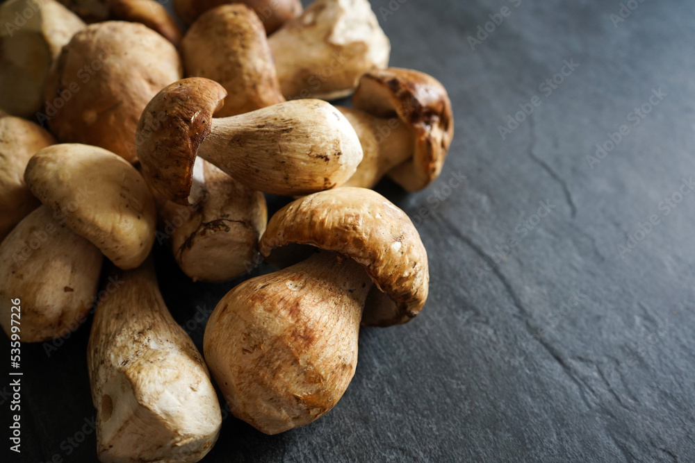 boletus edulis mushrooms on dark background boletus edulis mushrooms on dark background