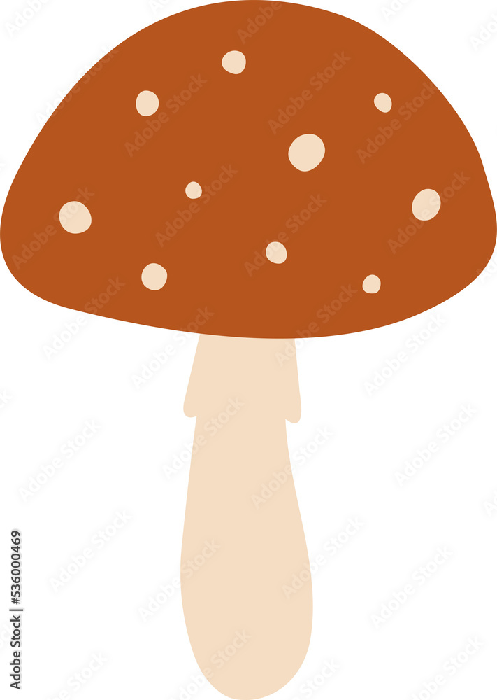 Red mushroom Red mushroom