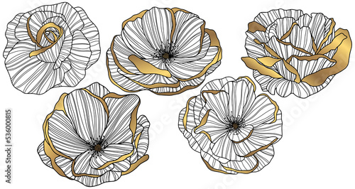 Rose flower png. Hand drawn. 