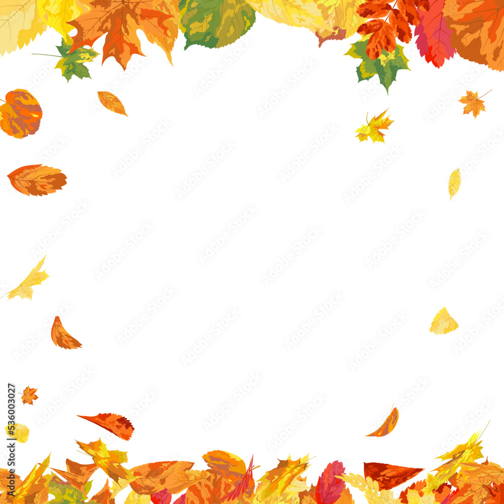 Autumn Leaves Background