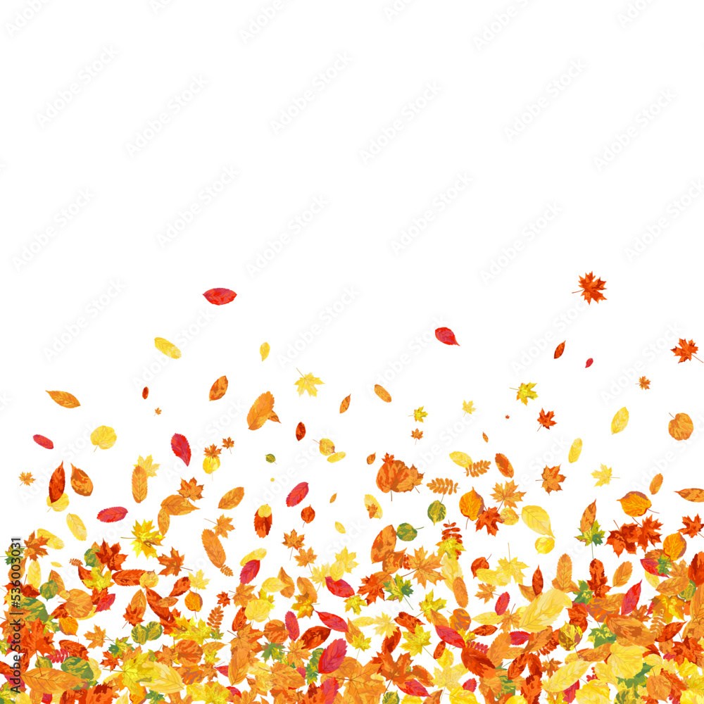 Autumn Leaves Background