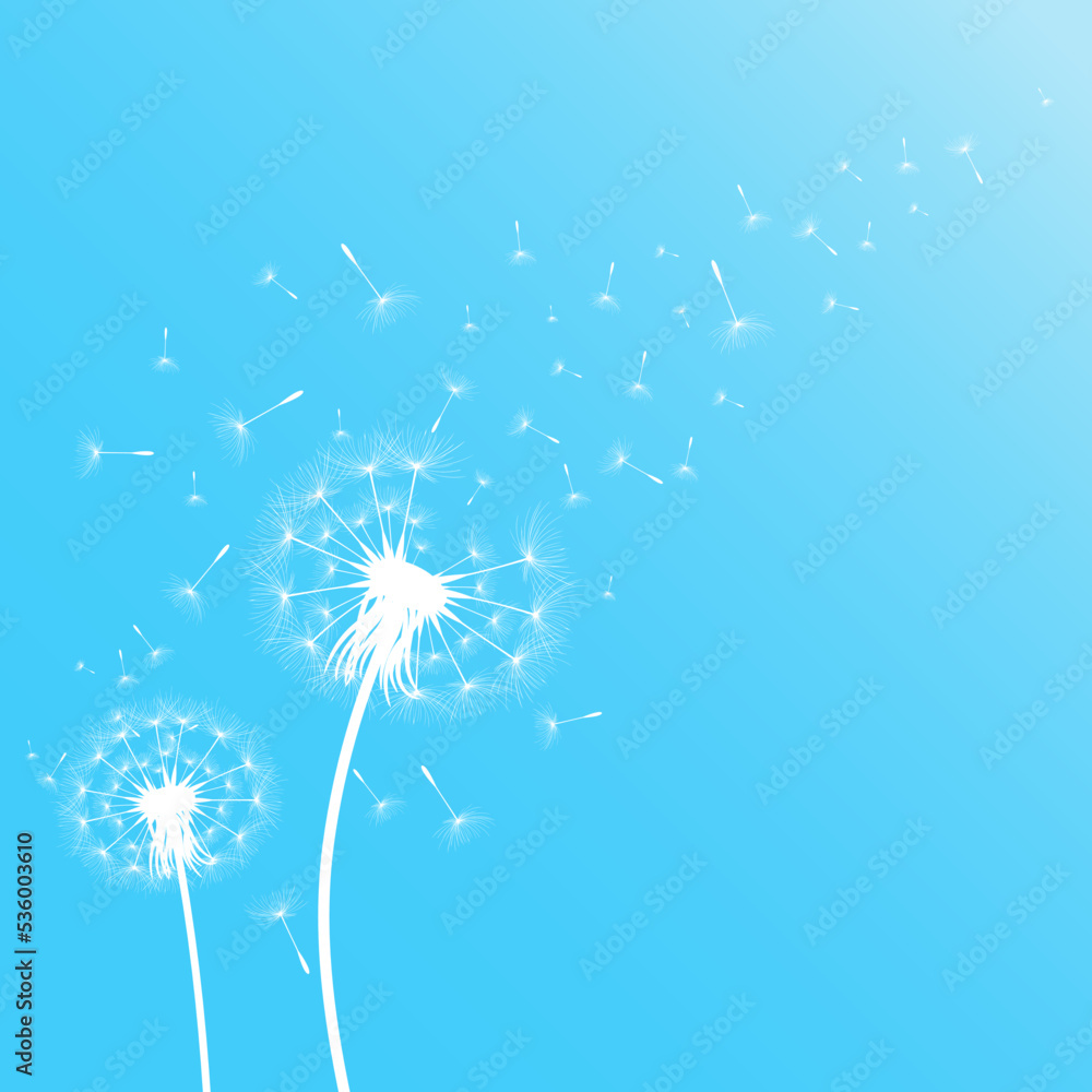 Vector illustration of dandelion time. White Beautiful Dandelion seeds blowing in the wind. The wind inflates a dandelion isolated in editable blue sky background.