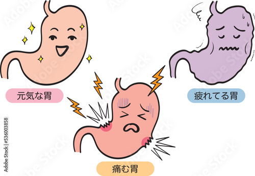 いろんな状態の胃のセット